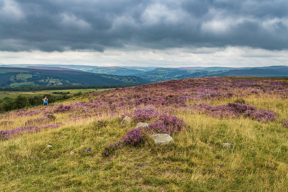 Derwent Valley